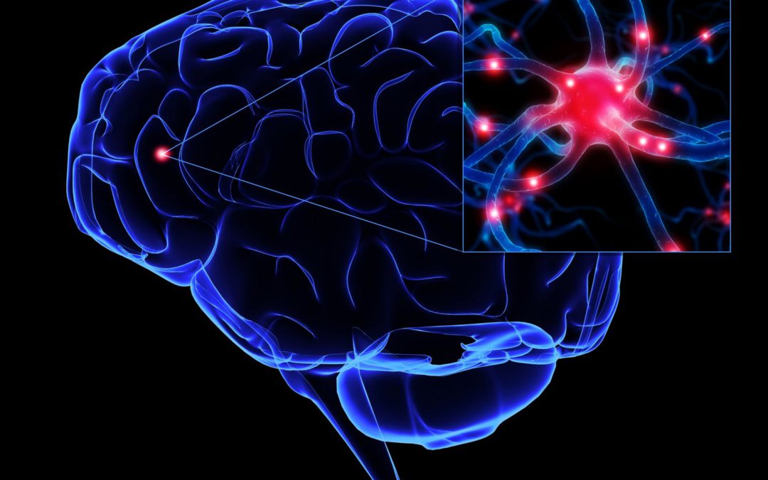 Como baixar o risco de Alzheimer