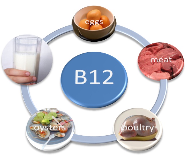 Vitamina B12 reduz o risco de Alzheimer